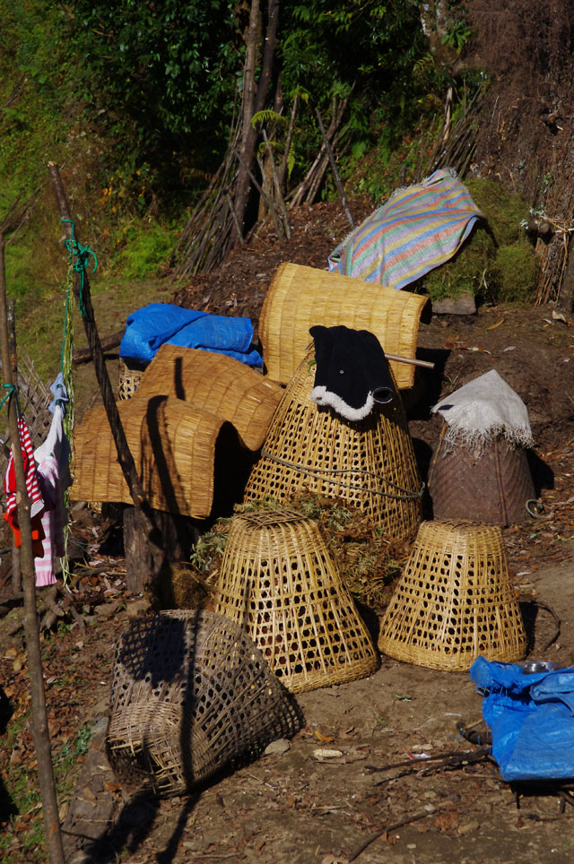 Les paniers des cueilleuses