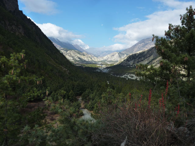 Braga est au fond de la vallée