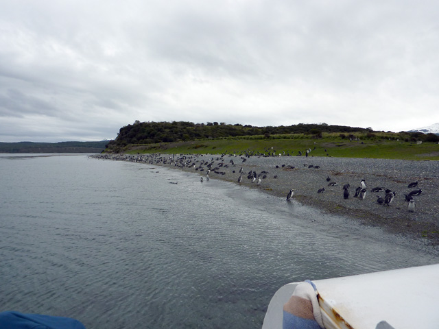 Arrivée sur l'île Martillo