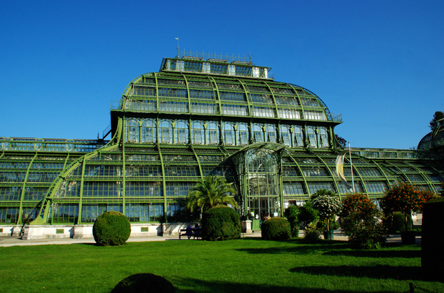 La serre au palmiers