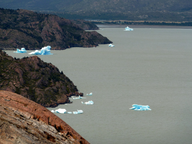 Premiers icebergs