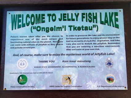 Welcome to Jellyfish Lake