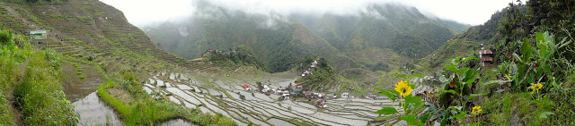 Panoramique des rizières