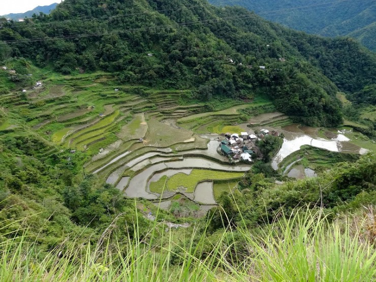 Rizières de Banga'an